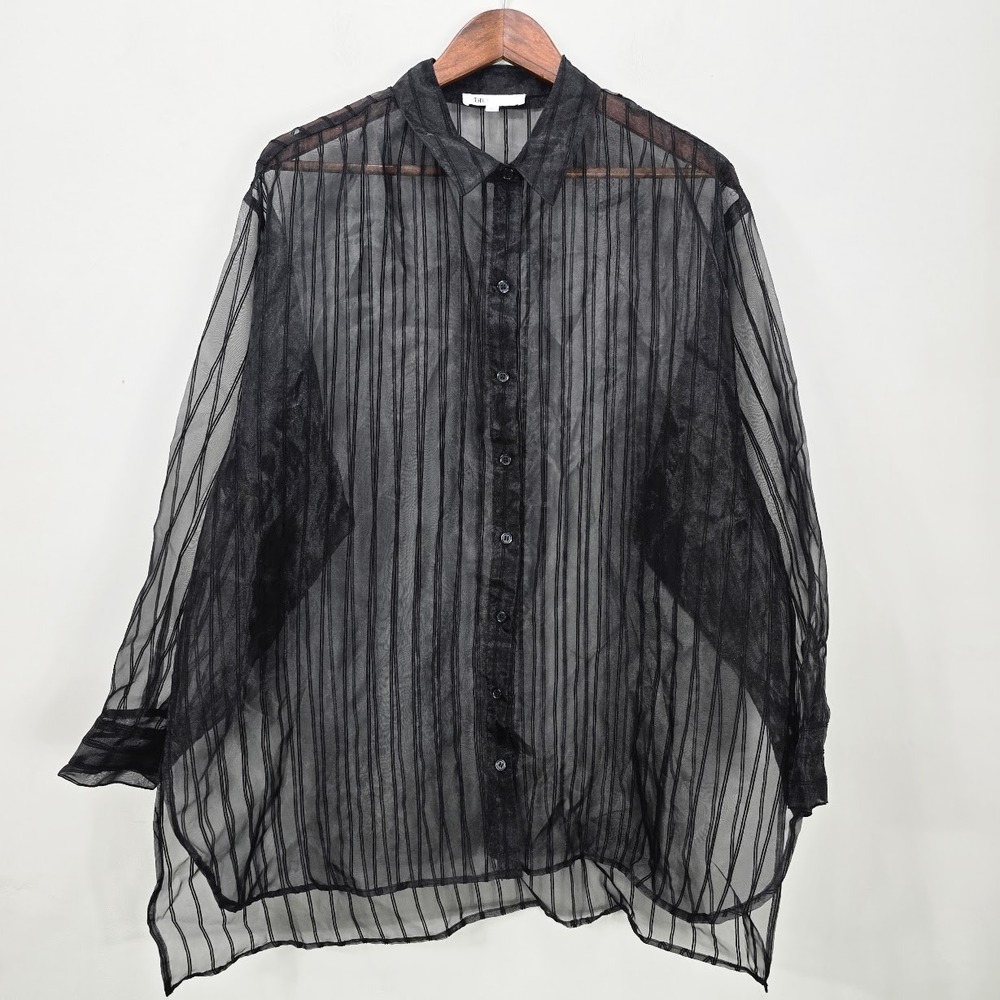 DR2 Sheer Button Down Tunic Top L Black Striped Embroidered Goth Minimalist